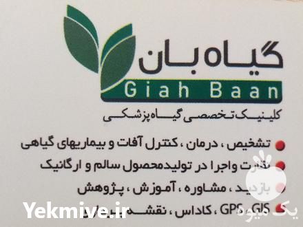 فروش کلینیک گیاه پزشکی گیاه بان در لاهیجان در گروه مشاوره گیاه پزشکی در یکمیوه -عکس1