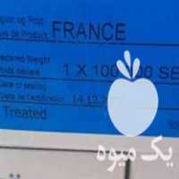 فروش بذر چغندر قند در نهاوند در گروه خرید و فروش بذر چغندر در یکمیوه