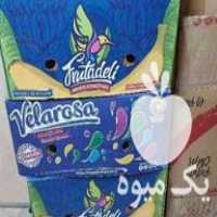 فروش کارتن خارجی و کارتن موز در گروه خرید و فروش انواع بسته بندی کاغذی در یکمیوه