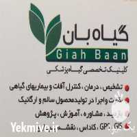فروش کلینیک گیاه پزشکی گیاه بان در لاهیجان در گروه مشاوره گیاه پزشکی در یکمیوه