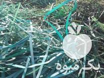 خرید تسمه پت ضایعاتی تسمه پلاستیکی بسته بندی در اصفهان در گروه انواع بسته بندی محصول در یکمیوه -عکس1