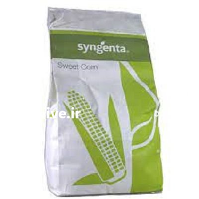بذر ذرت اکسن چوئیت در شیراز در گروه خرید و فروش بذر ذرت در یکمیوه -عکس1