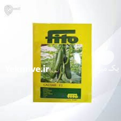 بذر خیار کادیار در گروه خرید و فروش بذر خیار در یکمیوه -عکس1