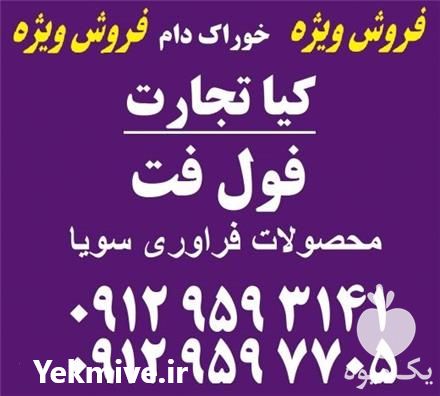 فروش فول فت سویا در تهران در گروه خرید و فروش سویا در یکمیوه -عکس1