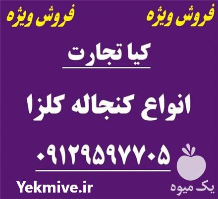 قیمت خرید کنجاله کلزا در تهران در گروه خرید و فروش کلزا در یکمیوه -عکس1