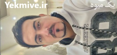 فروش قارچ دکمه ای کمپوست در نقده در گروه خرید و فروش قارچ در یکمیوه -عکس2