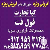 فروش فول فت سویا در تهران در گروه خرید و فروش سویا در یکمیوه