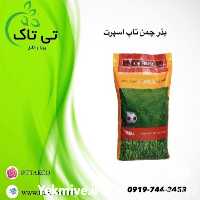قیمت خرید بذر چمن در گروه خرید و فروش بذر چمن در یکمیوه