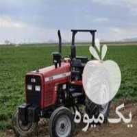 فروش تراکتور 399 تک مدل 97 در گروه خرید و فروش انواع تراکتور در یکمیوه