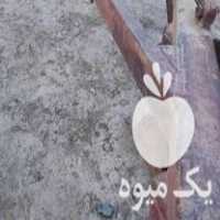 فروش گاوآهن تراکتور در گروه خرید و فروش گاوآهن در یکمیوه