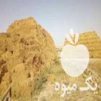 قیمت خرید یونجه خشک انباری درجه یک بدون علف در اردبیل در گروه خوراک دام و طیور در یکمیوه