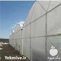 فروش طراحی و ساخت گلخانه در ساری در گروه خرید و فروش سوله و سازه گلخانه در یکمیوه