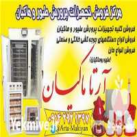 قیمت خرید آرتا ماکیان در گروه تجهیزات مرغداری در یکمیوه