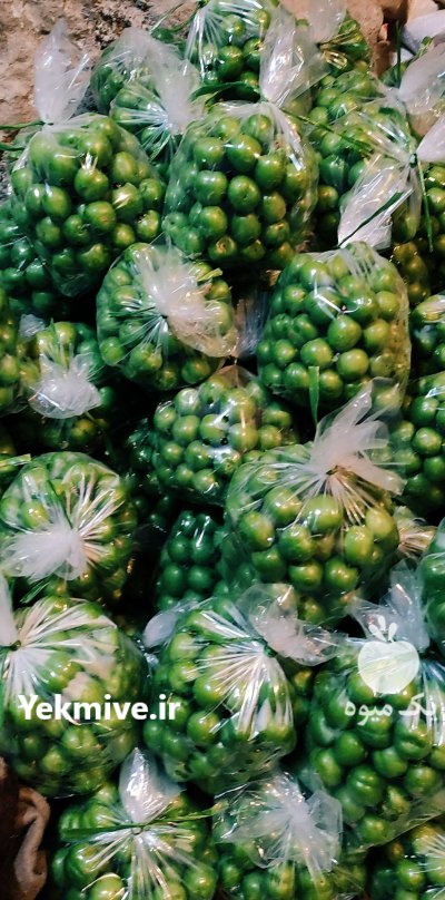 گوجه سبز در سرپل ذهاب در گروه خرید و فروش آلو در یکمیوه -عکس1