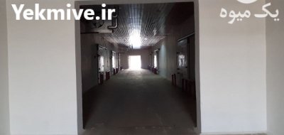 تولید آب میوه و کنسانتره میوه در تهران در گروه انواع آبمیوه ها و آبگیری ها در یکمیوه -عکس1