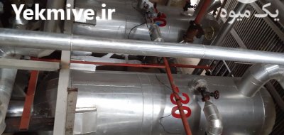 تولید آب میوه و کنسانتره میوه در تهران در گروه انواع آبمیوه ها و آبگیری ها در یکمیوه -عکس2