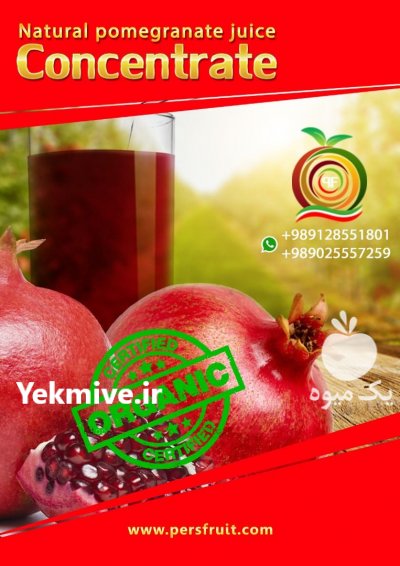 تولید آب میوه و کنسانتره میوه در تهران در گروه انواع آبمیوه ها و آبگیری ها در یکمیوه -عکس3