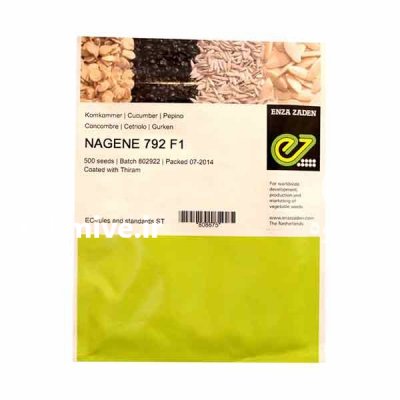 بذر خیار ناگین در گروه خرید و فروش بذر خیار در یکمیوه -عکس1