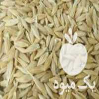 خریدار هستم گندم جو ذرت سویا کود سفید در گروه خرید و فروش گندم و جو در یکمیوه