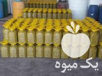 فروش زیتون عمده در گروه خرید و فروش زیتون در یکمیوه -عکس1