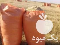 قیمت خرید کاه گندم و یونجه در ایتا در اهواز در گروه خرید و فروش گندم و جو در یکمیوه -عکس1