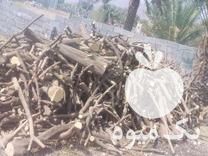 قیمت خرید چوب مرکبات پرتقال سایز خشک در منوجان در گروه خرید و فروش چوب مرکبات در یکمیوه -عکس1