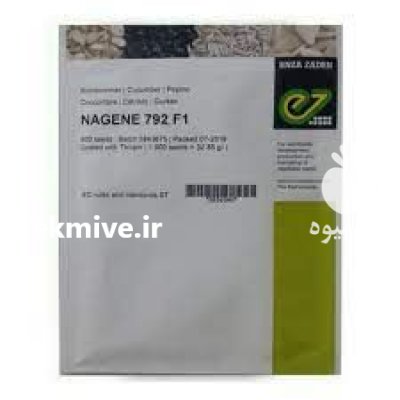 بذر خیار ناگین در رودبار در گروه خرید و فروش بذر خیار در یکمیوه -عکس1