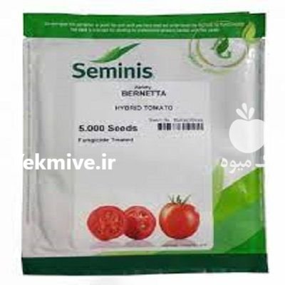 بذر گوجه فرنگی برنتا در اصفهان در گروه خرید و فروش بذر گوجه در یکمیوه -عکس1