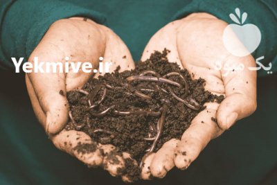 کود ورمی کمپوست در تهران در گروه خرید و فروش کود کمپوست در یکمیوه -عکس1