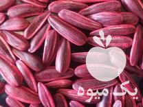 قیمت خرید بذر مادر تخمه کانادایی در گروه خرید و فروش انواع تخمه در یکمیوه -عکس1