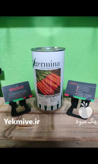 بذر هویج جرمینا در تهران در گروه خرید و فروش بذر هویج در یکمیوه -عکس1