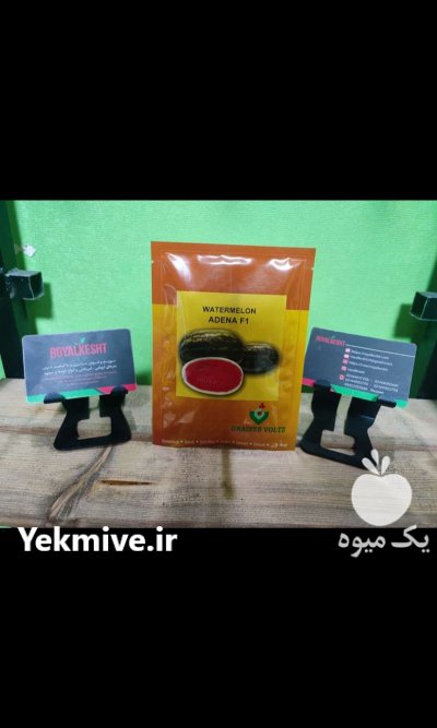 بذر هندوانه آدنا در گروه خرید و فروش بذر هندوانه در یکمیوه -عکس1