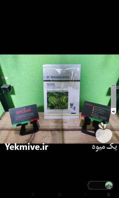 بذر هندوانه در گروه خرید و فروش بذر هندوانه در یکمیوه -عکس1