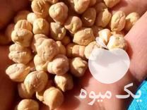 فروش نخود درجه یک در الیگودرز در گروه خرید و فروش نخود در یکمیوه -عکس1