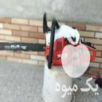 قیمت خرید اره موتوری دیانا ساخت المان در گروه خرید و فروش اره برقی در یکمیوه