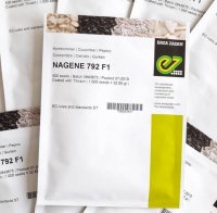 بذر خیار ناگین در اصفهان در گروه خرید و فروش بذر خیار در یکمیوه