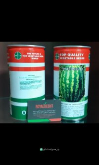 بذر هندوانه ناسکو در گروه خرید و فروش بذر هندوانه در یکمیوه