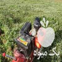 قیمت خرید ترلیر کاما اورجینال در پیرانشهر در گروه خرید و فروش تیلر کاما در یکمیوه