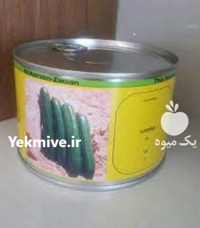 بذر خیار سوپرینا در اختیارآباد در گروه خرید و فروش بذر خیار در یکمیوه -عکس1