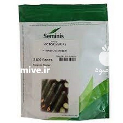 بذر خیار ویکتوریا در ازندریان در گروه خرید و فروش بذر خیار در یکمیوه -عکس1