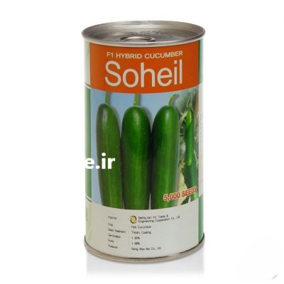 بذر خیار سهیل در خوزستان در گروه خرید و فروش بذر خیار در یکمیوه -عکس1