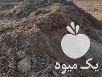 قیمت خرید کود حیوانی در الوند در گروه خرید و فروش کود حیوانی در یکمیوه -عکس1