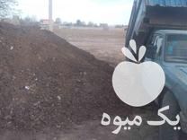 قیمت خرید کود حیوانی در تنکمان در گروه خرید و فروش کود حیوانی در یکمیوه -عکس1