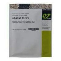 بذر خیار ناگین در گروه خرید و فروش بذر خیار در یکمیوه