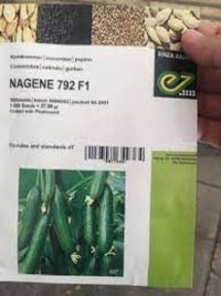 بذر خیار ناگین در گروه خرید و فروش بذر خیار در یکمیوه