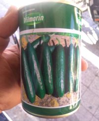 بذر خیار ویلمورین در ابهر در گروه خرید و فروش بذر خیار در یکمیوه