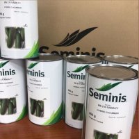 بذر خیار سلطان در گروه خرید و فروش بذر خیار در یکمیوه