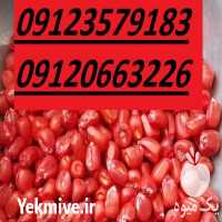 فروش عمده بذر ذرت در تهران در گروه خرید و فروش بذر ذرت در یکمیوه