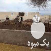 قیمت خرید کود گاوی و در چناران در گروه خرید و فروش کود گاوی در یکمیوه