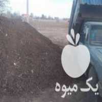 قیمت خرید کود حیوانی در تنکمان در گروه خرید و فروش کود حیوانی در یکمیوه